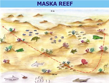 Maska Reef